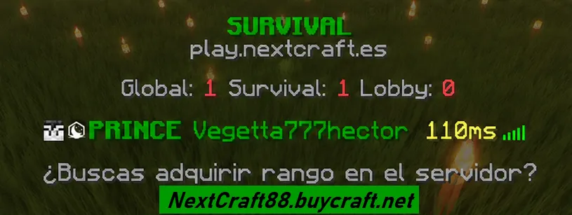 Feature preview